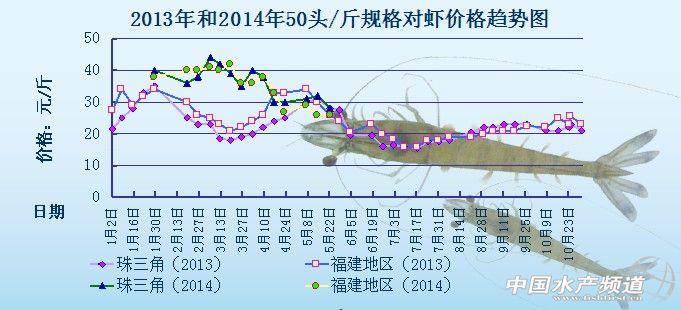 蝦價(jià)格最新行情解析，市場走勢分析與觀點(diǎn)闡述