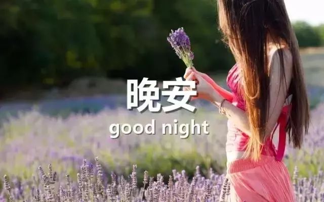 陽(yáng)光下的溫馨日常，最新心情分享