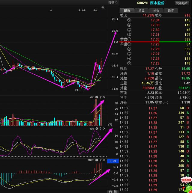 西水股份動(dòng)態(tài)更新，變革中的學(xué)習(xí)之路，自信與成就感的培育之源
