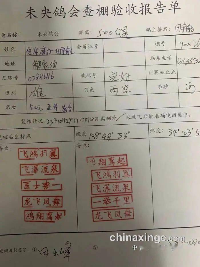未央鴿會最新動態(tài)更新，最新消息匯集