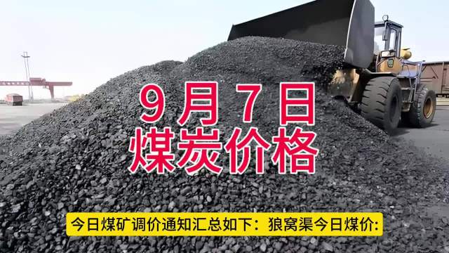 今日煤價最新動態(tài)及市場走勢分析與預(yù)測