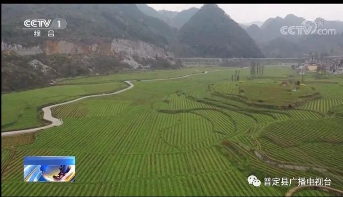 山東省最新新聞動(dòng)態(tài)，小巷深處的獨(dú)特風(fēng)味