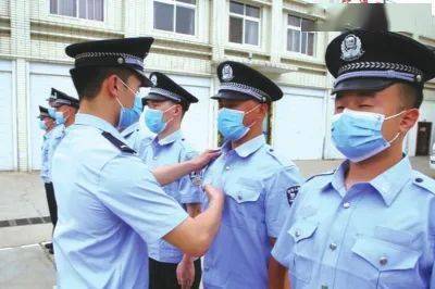 河南輔警最新文件編號及其影響分析，一種觀點探討
