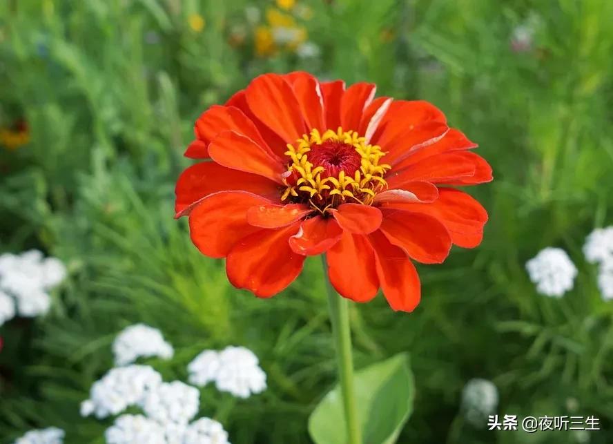 沙漏電影最新動(dòng)態(tài)，一切盡在此刻！