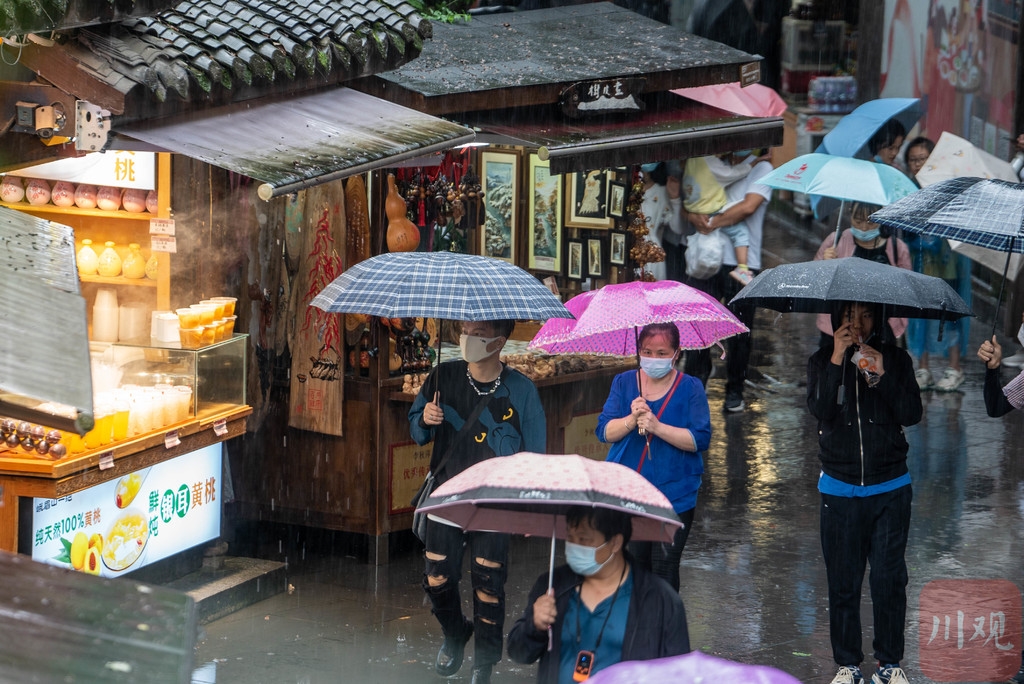 絲雨王姐最新探秘，小巷中的美食秘境