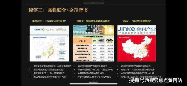 最新職業(yè)斗狗，趨勢、挑戰(zhàn)與深度解析