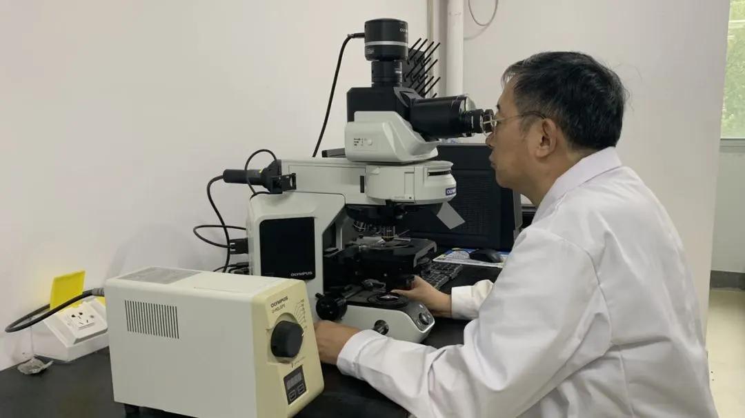 澳洲疫情下的隱秘寶藏，小巷特色小店最新動(dòng)態(tài)