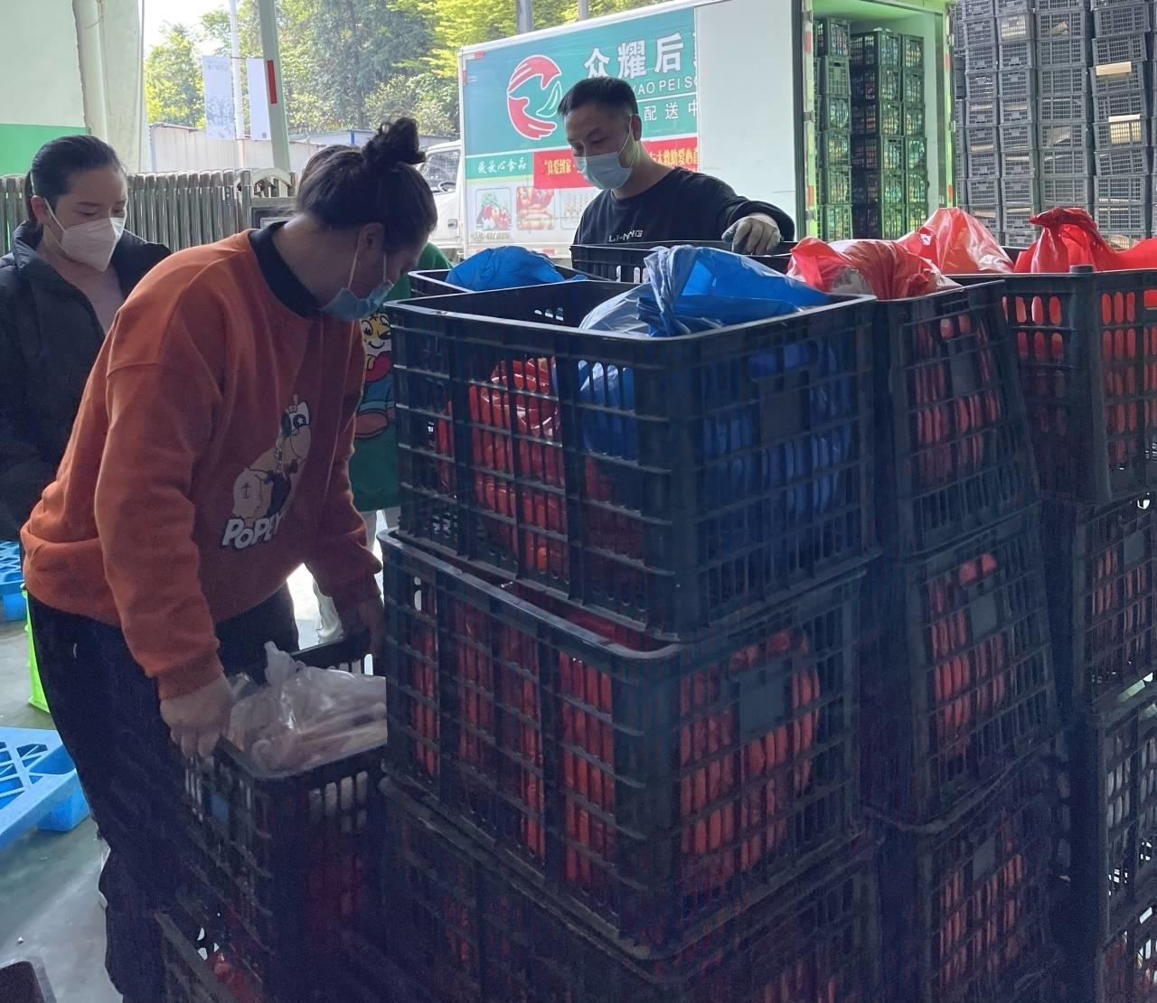 疫情最新動態(tài)下的同班同學(xué)與巷弄深處的美食之旅