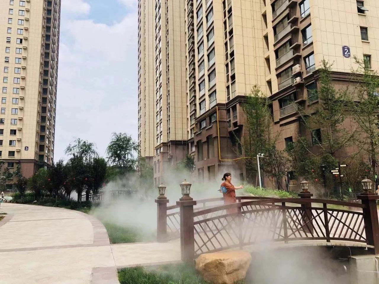 麗都名邸項(xiàng)目最新動態(tài)揭秘，小巷中的隱藏寶藏！