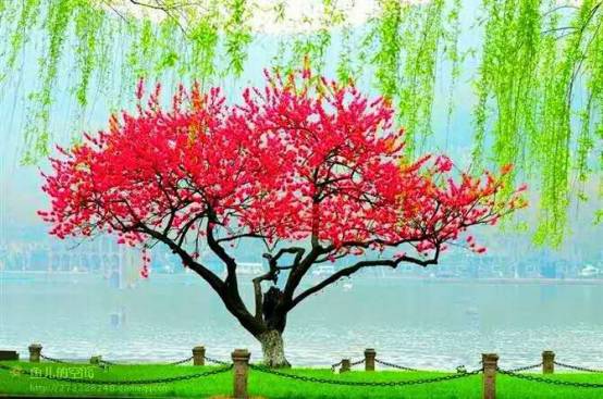 滿園芬芳新篇章，高科技產(chǎn)品的革新之旅探索