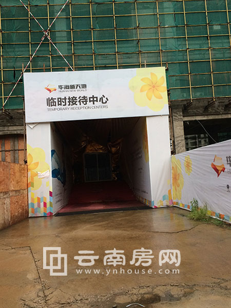 華海新天地最新動(dòng)態(tài)揭秘，友情的溫馨日常
