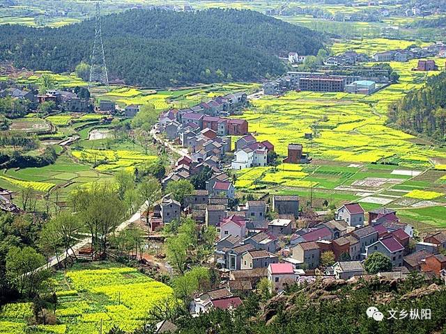 樅陽縣橫埠鎮(zhèn)最新動(dòng)態(tài)，觀點(diǎn)闡述與分析