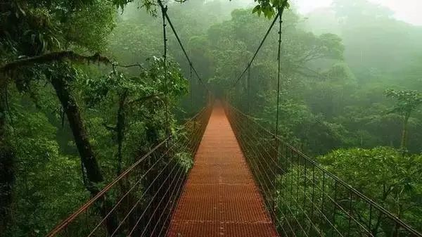 最新河道水情示意圖，自然美景的探索之旅啟動(dòng)！