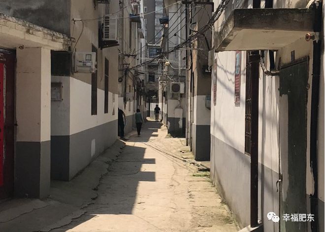 肥西新港南區(qū)最新動態(tài)揭秘，小巷深處的獨特風味