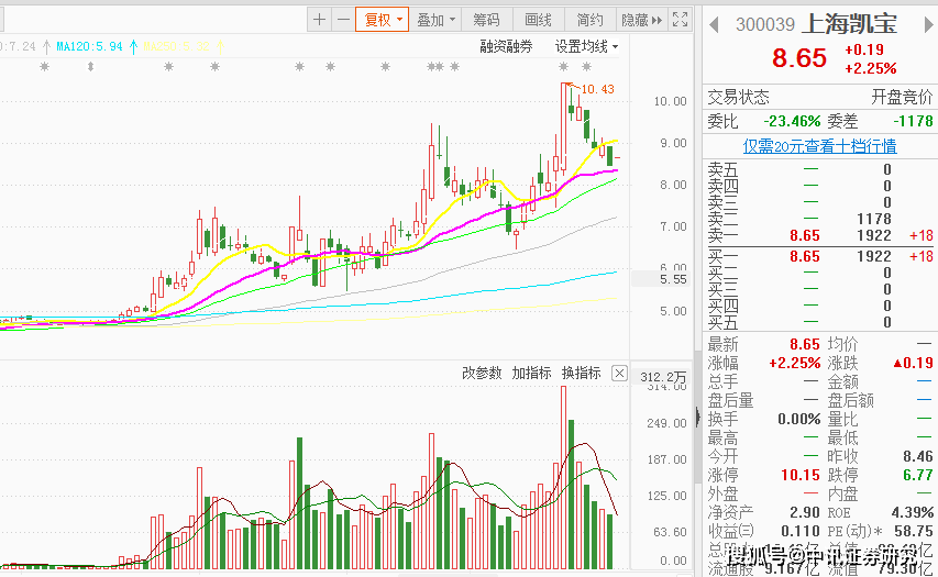 上海凱寶股票最新消息,上海凱寶股票最新消息，一場自然美景的探索之旅