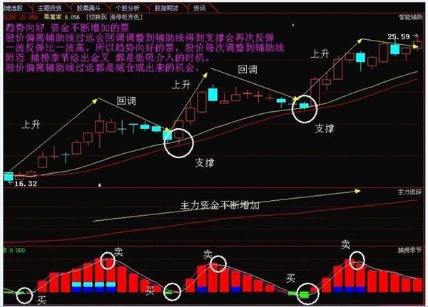 王子新材最新股票動態(tài)，自然美景的探索之旅啟程！