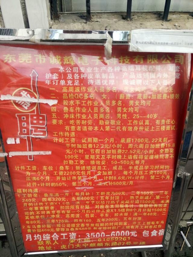 東涌臨時工招聘，新篇章中的工作、友情與家的溫暖