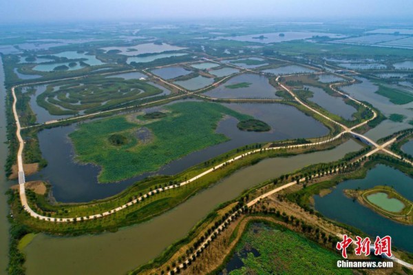 杭州白馬湖最新動態(tài)，自然美景之旅，探尋內(nèi)心寧靜與平和