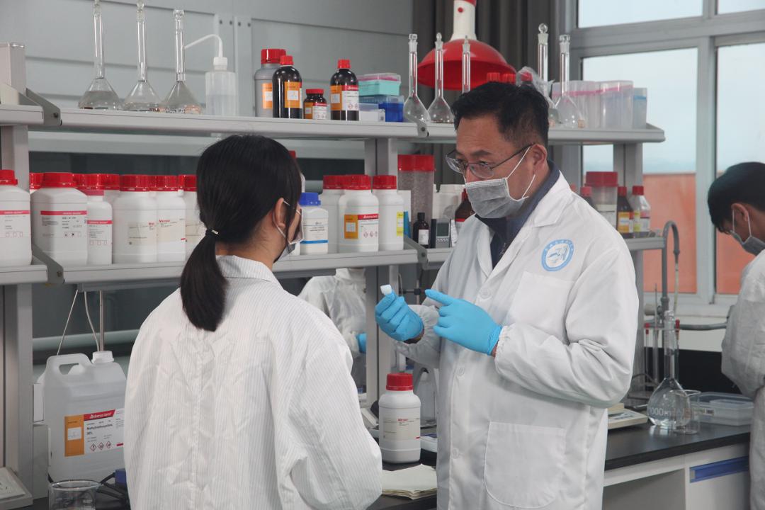 峨眉人才最新招聘信息，求職全步驟指南及招聘動態(tài)更新
