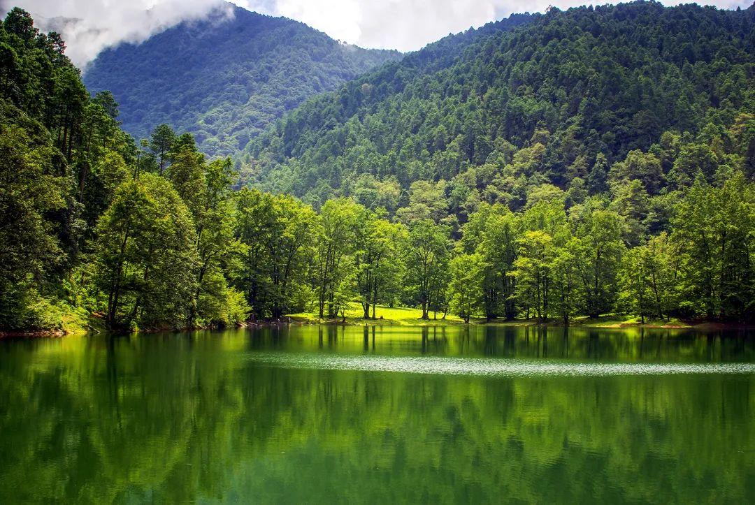 楊樹林最新電視劇，自然美景的治愈之旅探索