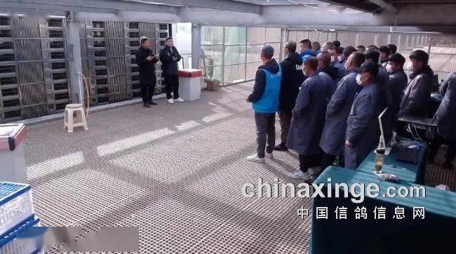 寶耐公棚最新公告，自然美景探索之旅邀請