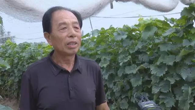 孟村環(huán)保最新動態(tài)更新