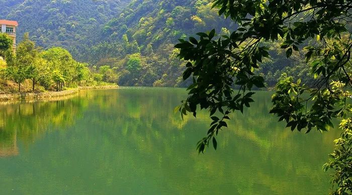 紫龍府最新房?jī)r(jià)，探索自然美景，尋求內(nèi)心平和與寧靜的旅程
