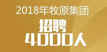 唐海最新招聘動(dòng)態(tài)，啟程探索自然美景，尋求內(nèi)心平和與寧?kù)o