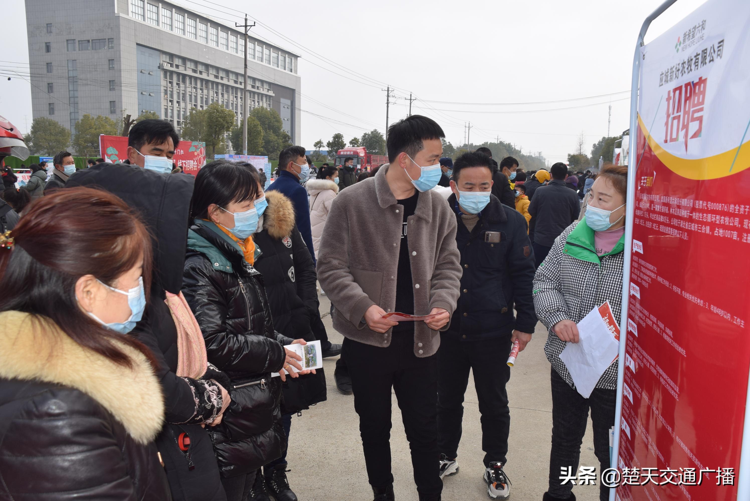 應(yīng)城工廠最新招聘信息全攻略，獲取指南與指南詳解